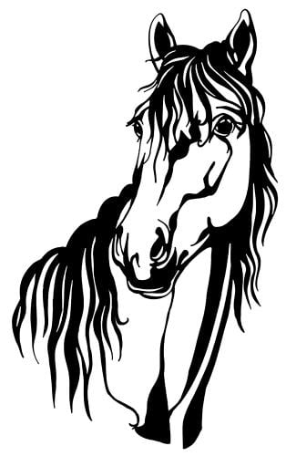 استينسل خيل ( 9 )