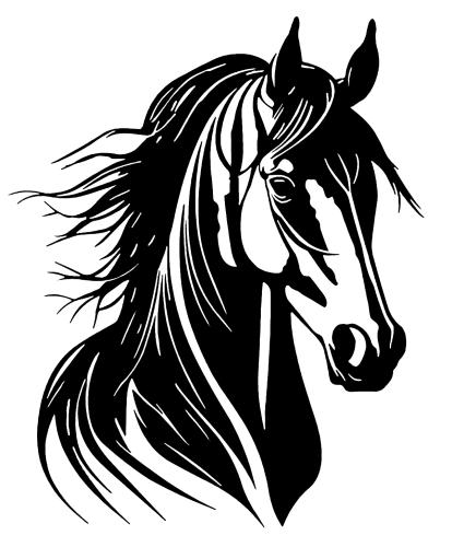 استينسل خيل ( 11 )