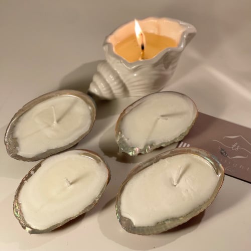 شمعة صدف كبيره المعطره