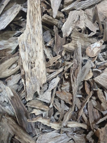 عود ارياني حي سوبر