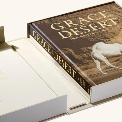 روعة الصحراء جمال الإبل السعودية