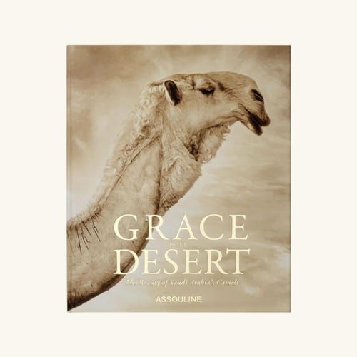 روعة الصحراء جمال الإبل السعودية