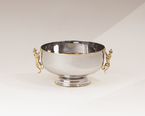 وعاء متعدد الاستخدامات