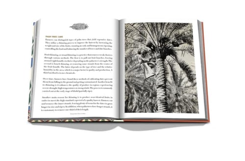 تمور السعودية