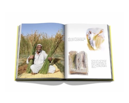 واحة الأحساء - al-ahsa oasis