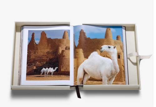 روعة الصحراء جمال الإبل السعودية