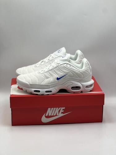 Nike Air Max Plus Multi Swoosh