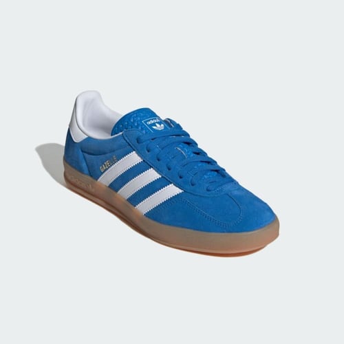 Adidas Gazelle Indoor Blue Bird / Cloud White / Gu...