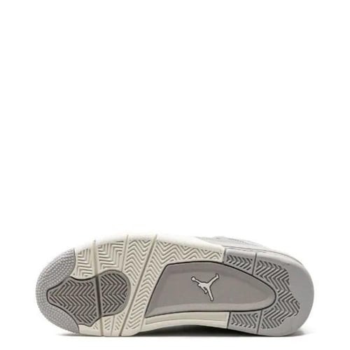 Air Jordan 4 "Frozen Moments"