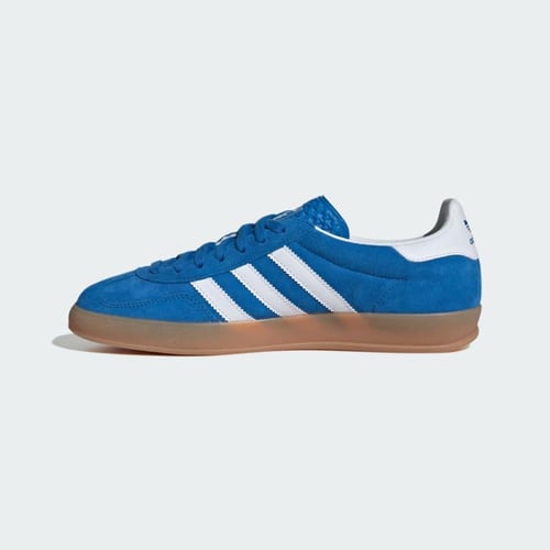 Adidas Gazelle Indoor Blue Bird / Cloud White / Gu...
