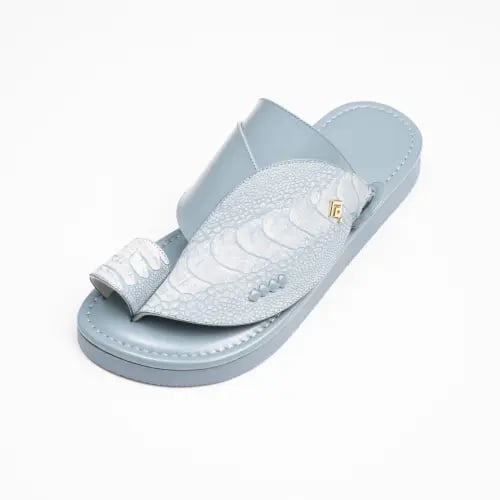 ساق نعام سماوي مطفي