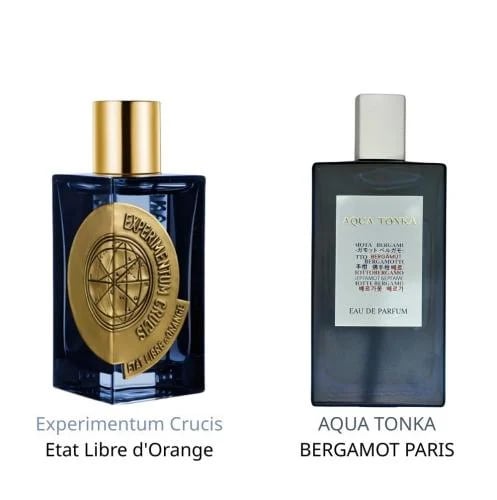 عطر اكوا تونكا من بيرغموت للجنسين اودي بارفيوم - 1...