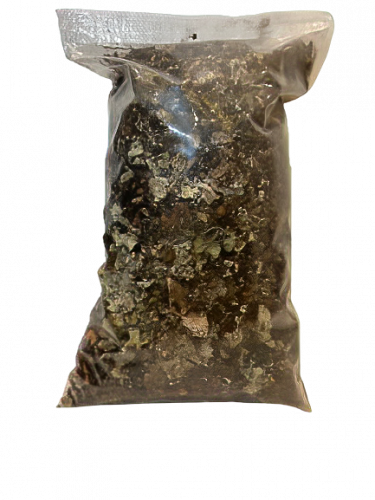 عشبة الشيبة