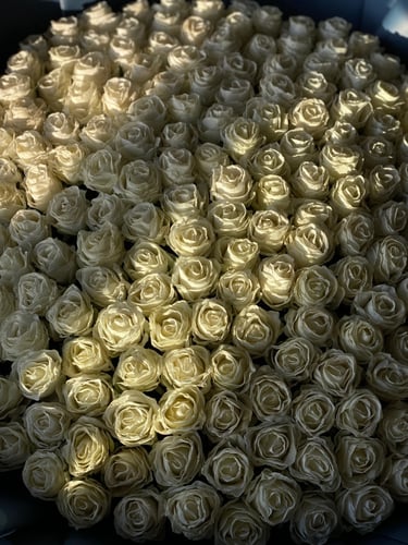 باقة جوري ابيض عملاقة