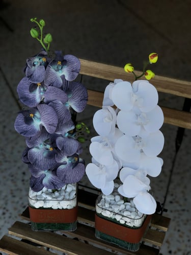 بوكس اكريلك