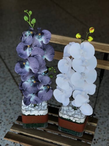 بوكس اكريلك