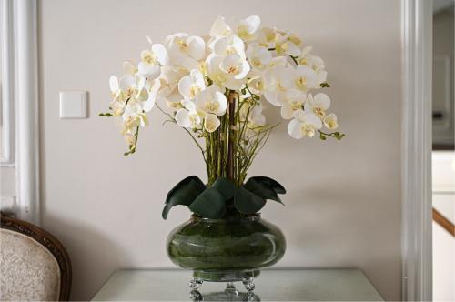 أوركيد ثمان أغصان