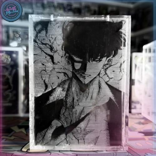 حامي بوبشيلد درع مخصص لفنكو بوب مع الرسم Solo Leve...