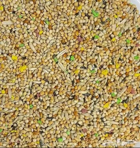 اكل طيور الحب (البادجي) خلطة الفيتامين (تعبئة ١ كي...