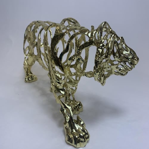 نمر استيل ذهبي