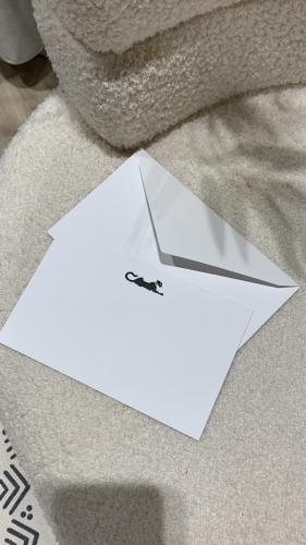 كرت وظرف كارتير