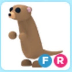 FR Meerkat