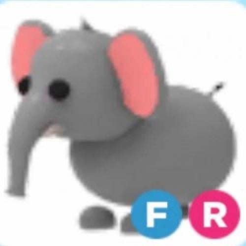 FR Elephant