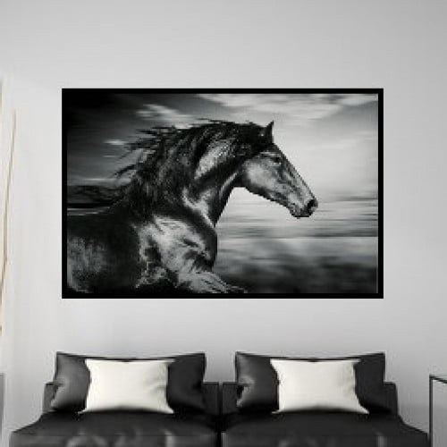 الخيل العربي