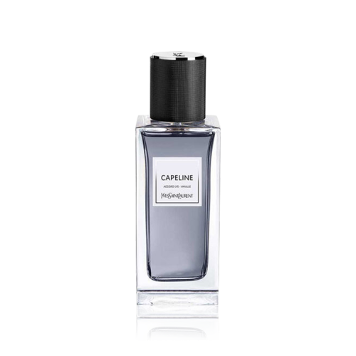 عطر ايف سان لوران كابلين أو دو برفيوم 125 مل Capel...