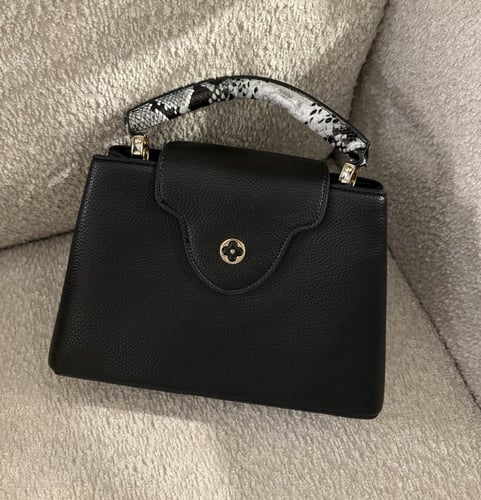 شنطة براند LV