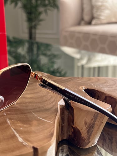 نظارة كارتير مع الملحقات