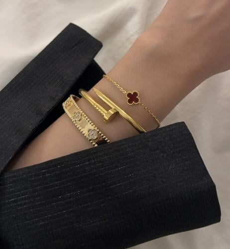 بكج الفخامة 8