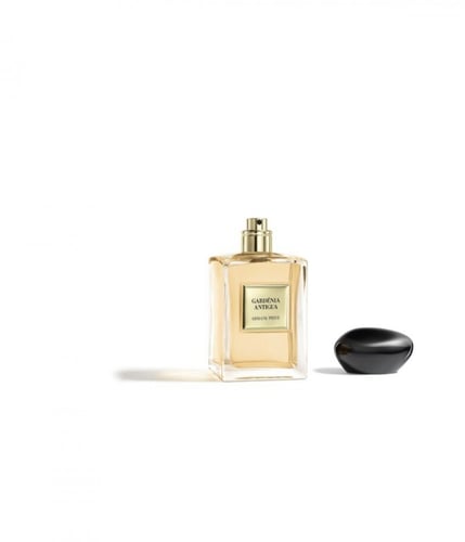 ارماني بريفه جاردينيا