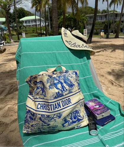 شنطة كرستيان ديور Christian Dior bag