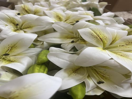 ورد كزابلنكا ملمس طبيعي