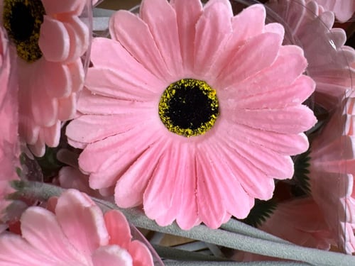 جلبيرا خمس وردات في الربطة ملمس طبيعي