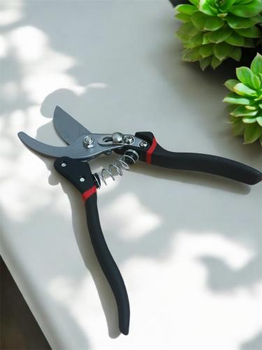 مقص اغصان الورد