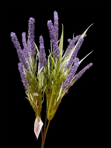 اغصان زهرة لافندر موف 183146