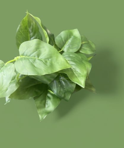 ورق اشجار صناعي شكلين