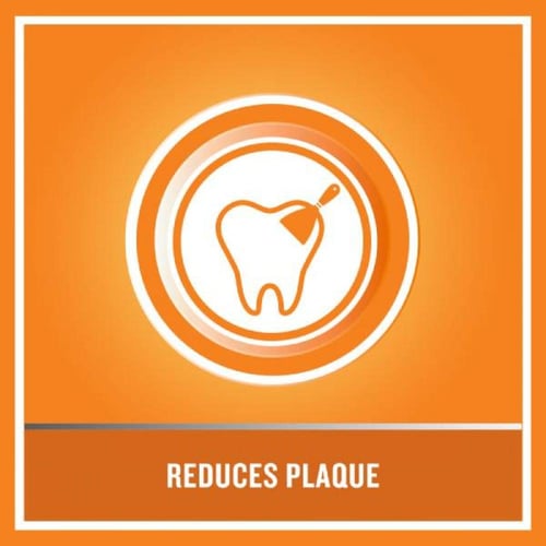 غسول فم مسواك من ليسترين - 250مل