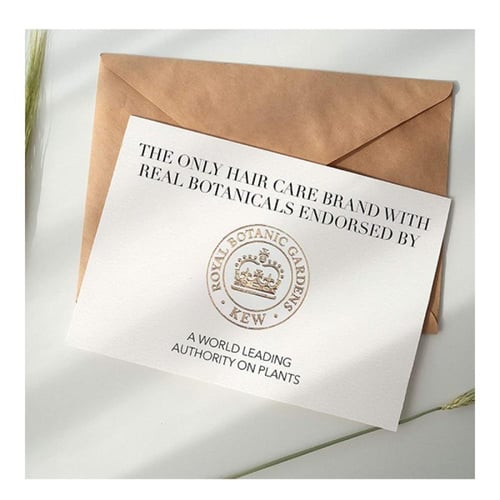 شامبو شعر نعومه بزيت مورينغا الذهبي بيو رنيو من هي...