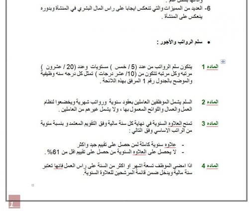 نموذج لائحة الرواتب والمزايا المالية