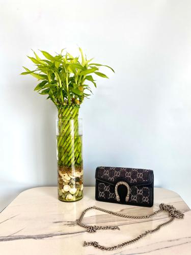 حقيبة للنساء باغ جوتشي ديونيسوس لون بني طبعة المار...