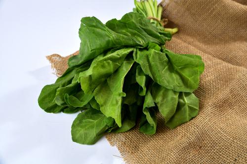 سبانخ بالربطه