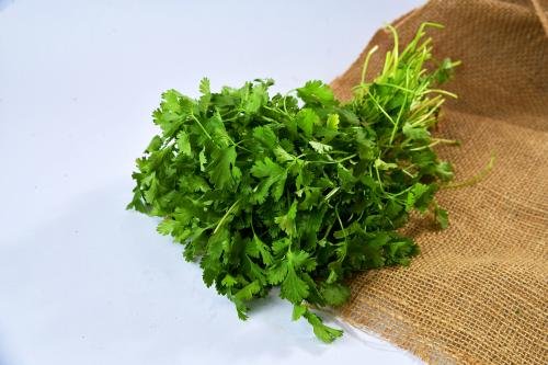 كزبره بالربطه