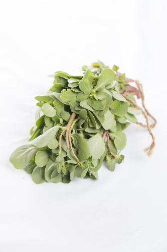 رجلة بالرابطة