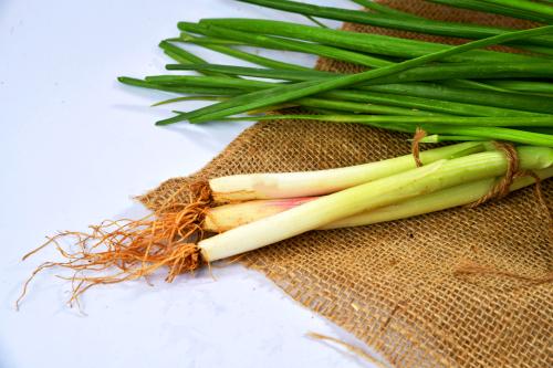 بصل اخضر بالربطه