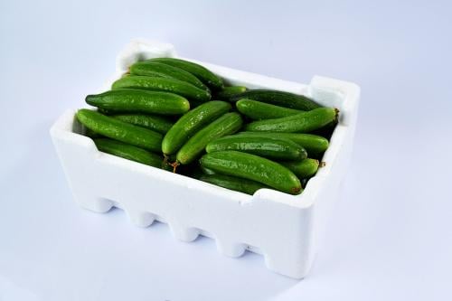 خيار فلين صغير