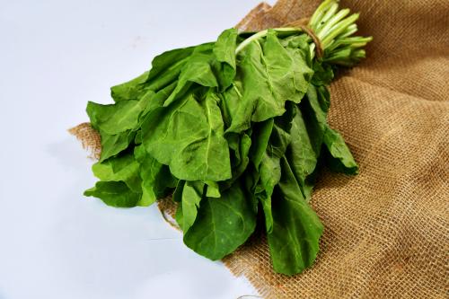 جرجير بالربطه