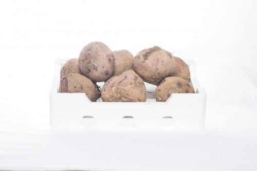 بنجر (فلين) صغير